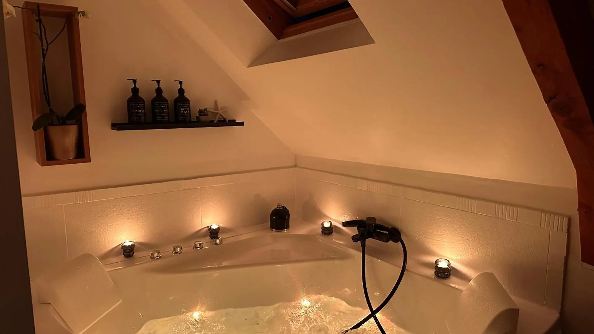 Appartement Les Libellules à Lanvallay France